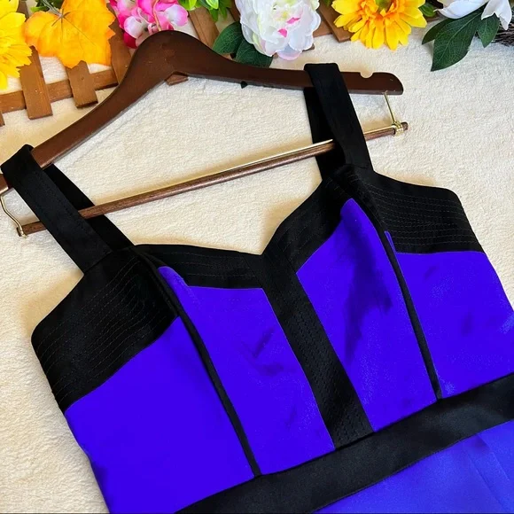 Rebecca Minkoff Violet & Black Night Out Silk Bustie Mini Dress Size 6 - Picture 12 of 17